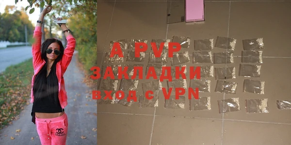 гашик Переславль-Залесский