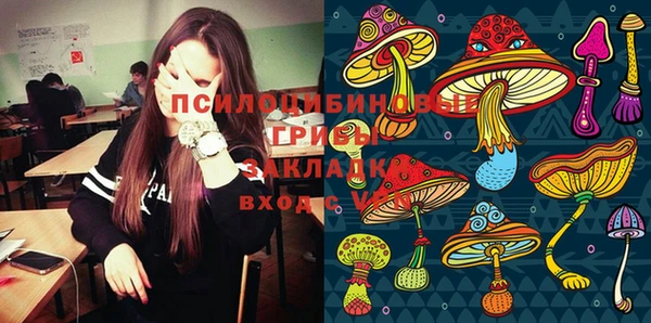 гашик Переславль-Залесский