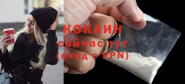 гашик Переславль-Залесский